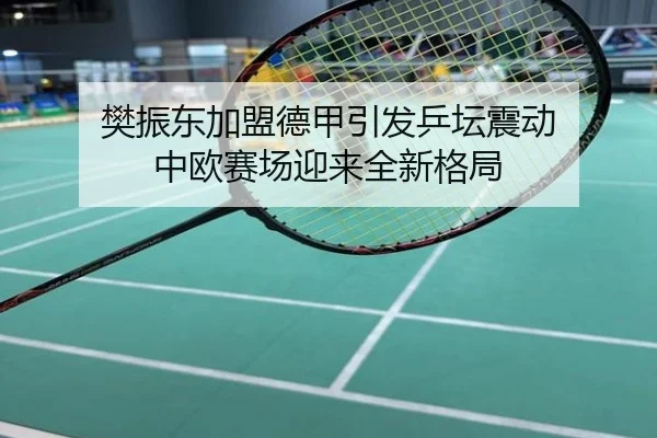 樊振东加盟德甲引发乒坛震动 中欧赛场迎来全新格局